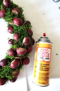 mod-podge-spray