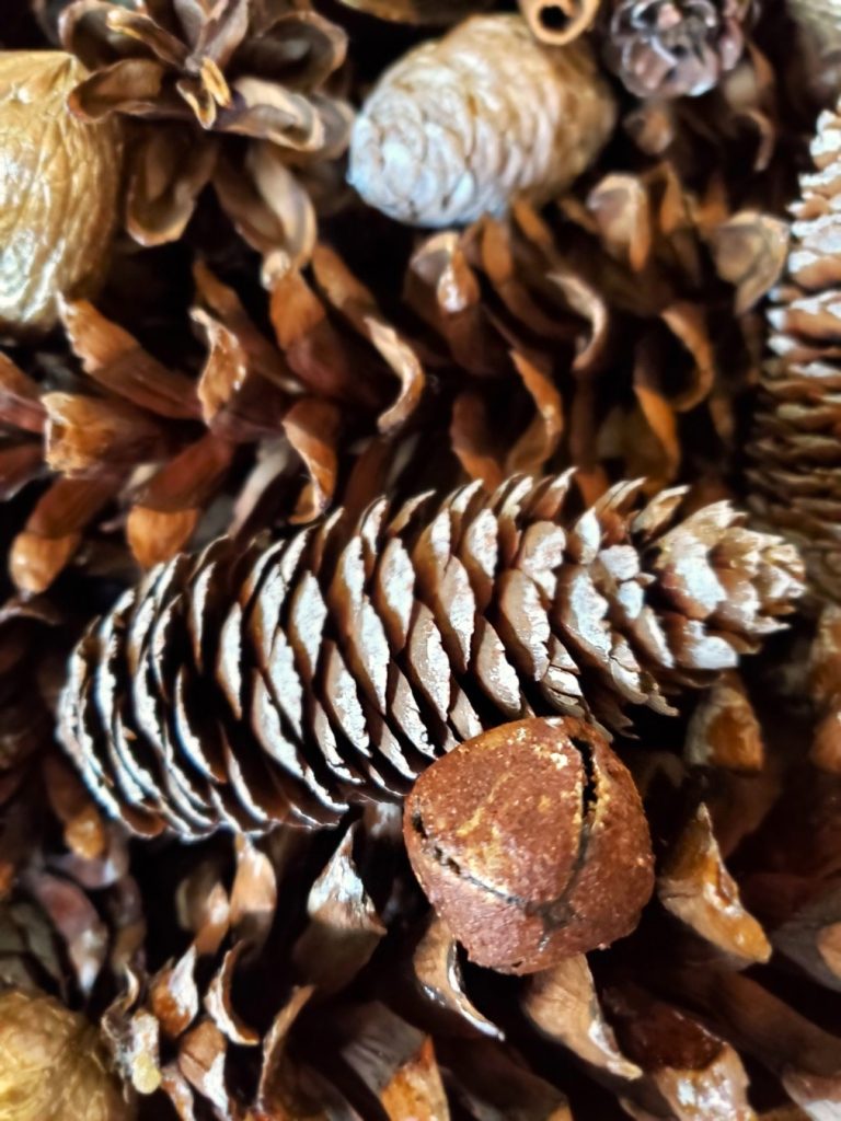 small-bell-pinecones