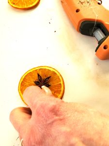 holding-anise-to-set