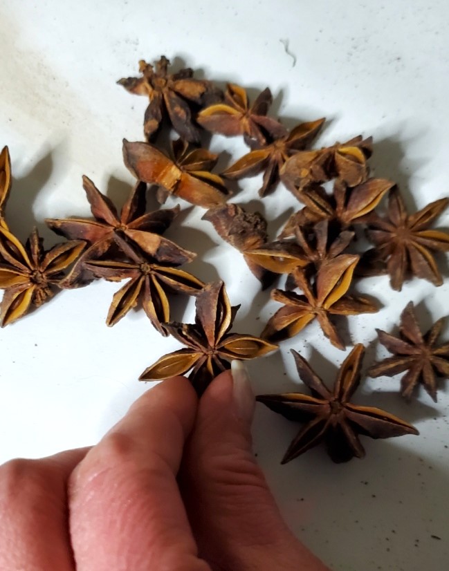 star-anise-garland-orange-slices-sorting-star-anise