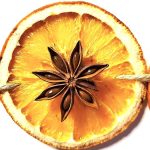 star-anise-garland-with-orange-slices-close-look-at-anise-featured-image