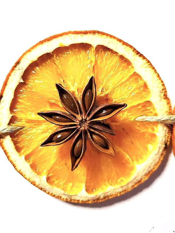 star-anise-garland-with-orange-slices-close-look-at-anise-featured-image
