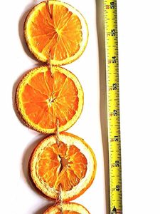 measuring-the-length