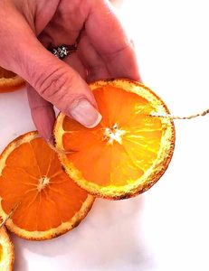 me-showing-some-oranges-twine-connected