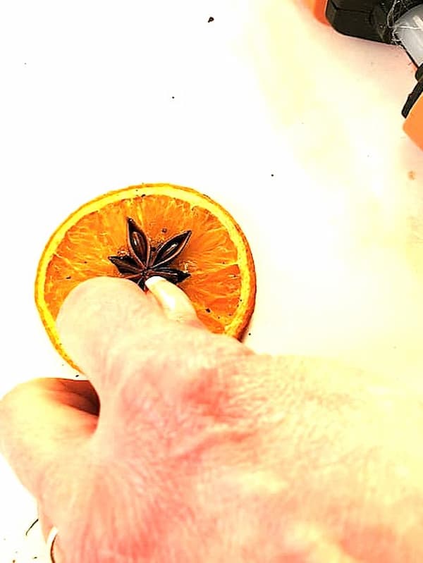 me-holding-anise-to-set