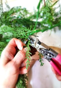 gingerbread-salt-dough-wreath-cutting-greens-with-wire-cutter