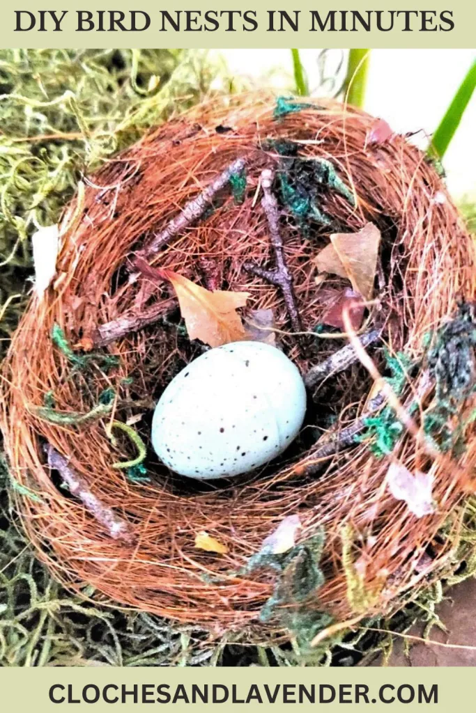 DIY-BIRD-NESTS-IN-MINUTES-PIN