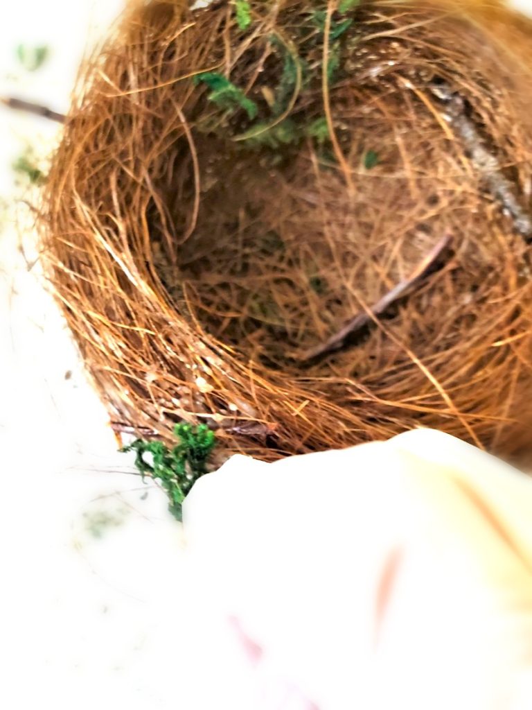 diy-bird-nests-in-minutes-adding-moss