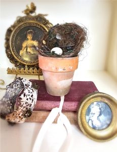 flowerpot-crown-pink-books-crown-pictures