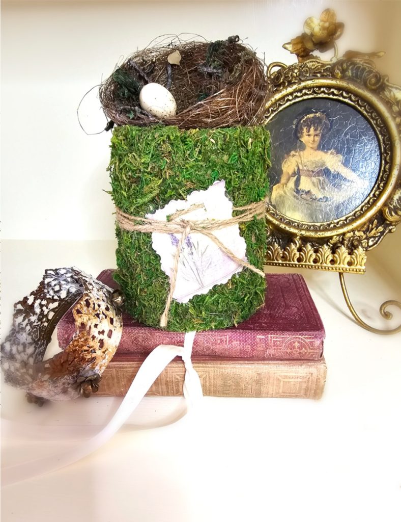 moss-can-pink-books-crown-picture