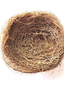 diy-bird-nests-in-minutes-shape-formed