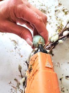 easy-natural-spring-wreath-adding-hot-glue-to-egg
