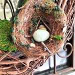 nest-for-nature