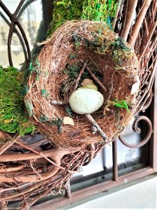 nest-for-nature