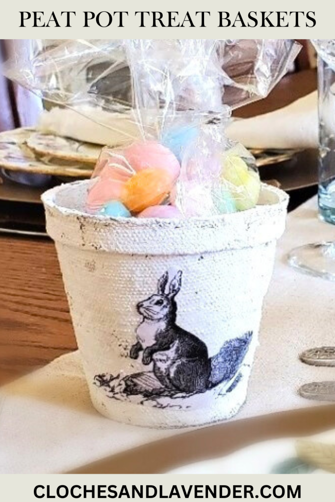PEAT-POT-TREAT-BASKETS-PIN