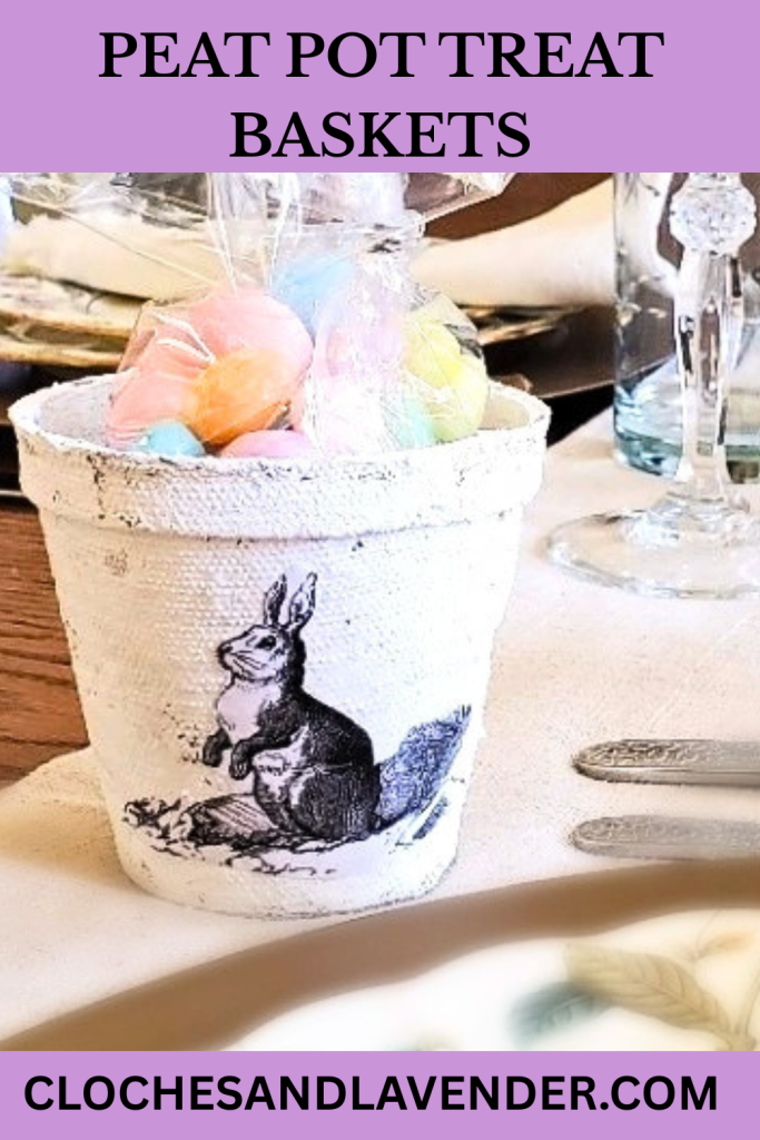 PEAT POT TREAT BASKETS PIN