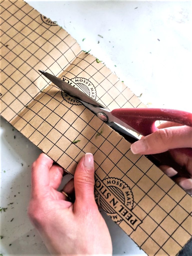 cutting-moss-with-scissors