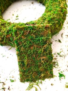 moss-to-fill-in-empty-spaces