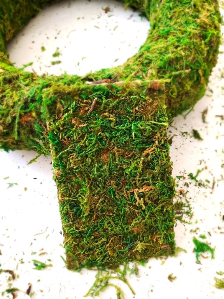 moss-to-fill-in-empty-spaces