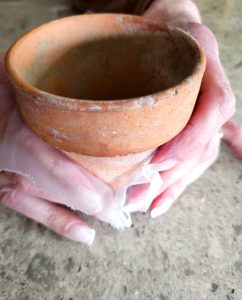 make-a-cabbage-vase-for-a-floral-arrangement-adding-sticky-plastic-around-flowerpot