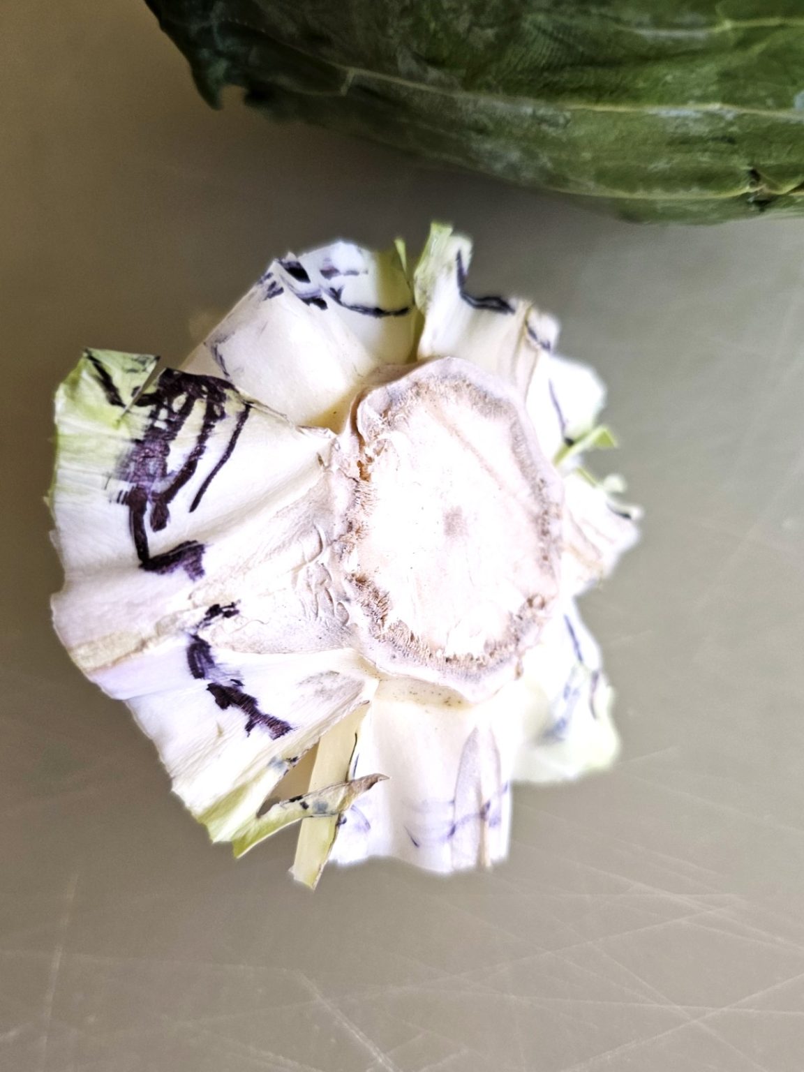 Make a Cabbage Vase Fast — Try This Now - Cloches & Lavender