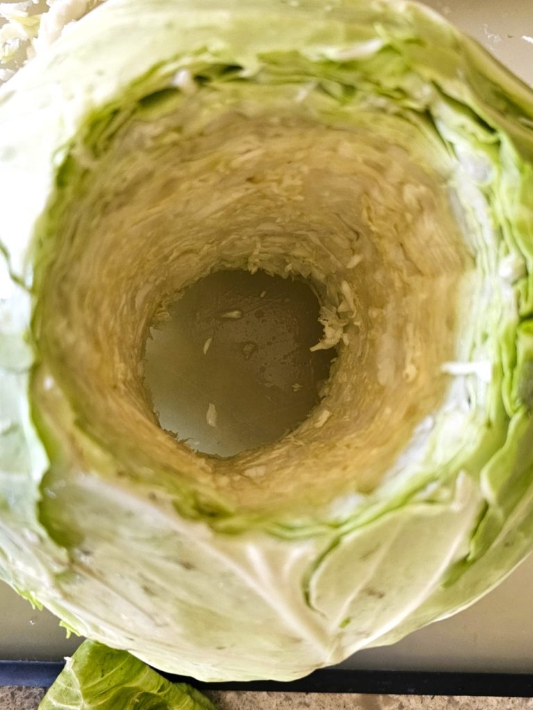 make-a-cabbage-vase-for-a-floral-arrangement-center-cut-out