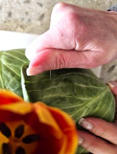 make-a-cabbage-vase-for-a-floral-arrangement-pushing-in-pin