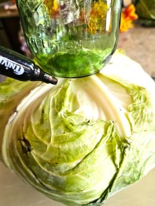 make-a-cabbage-vase-for-a-floral-arrangement-tracing-jar