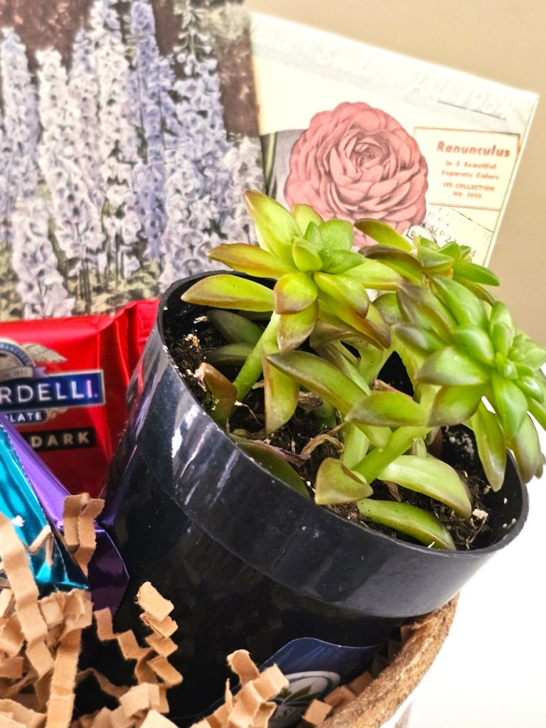 closer-look-at-moms-pot-filled-with-small-plant-seed-packets
