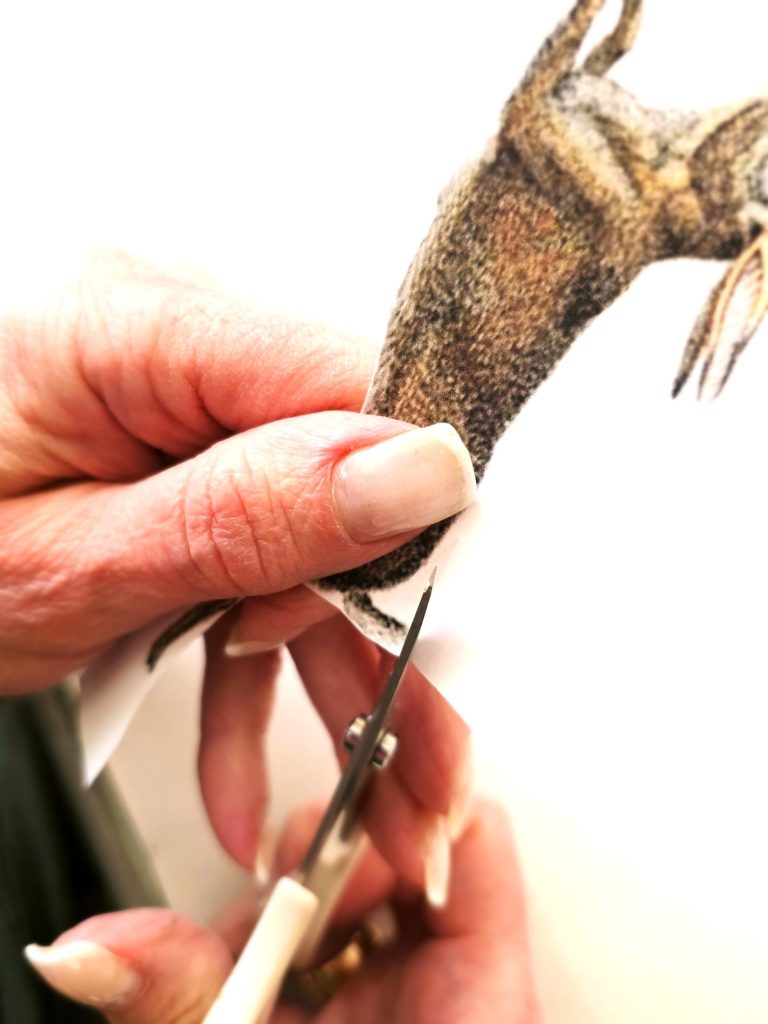 cutting-as-close-as-possible-around-bunny-image-cut