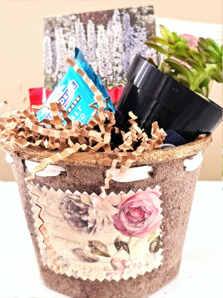pot-with-gold-rim-filled-with-candy-seeds-and-small-plant