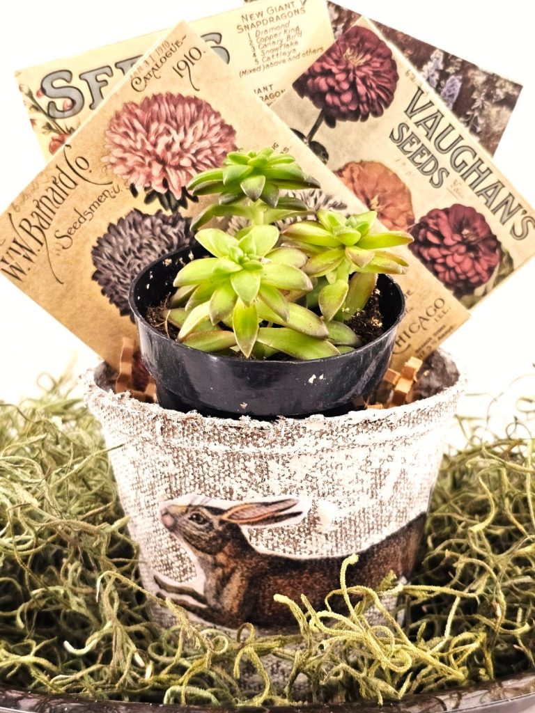 spring-peat-pot-treat-baskets-seed-packs-plant