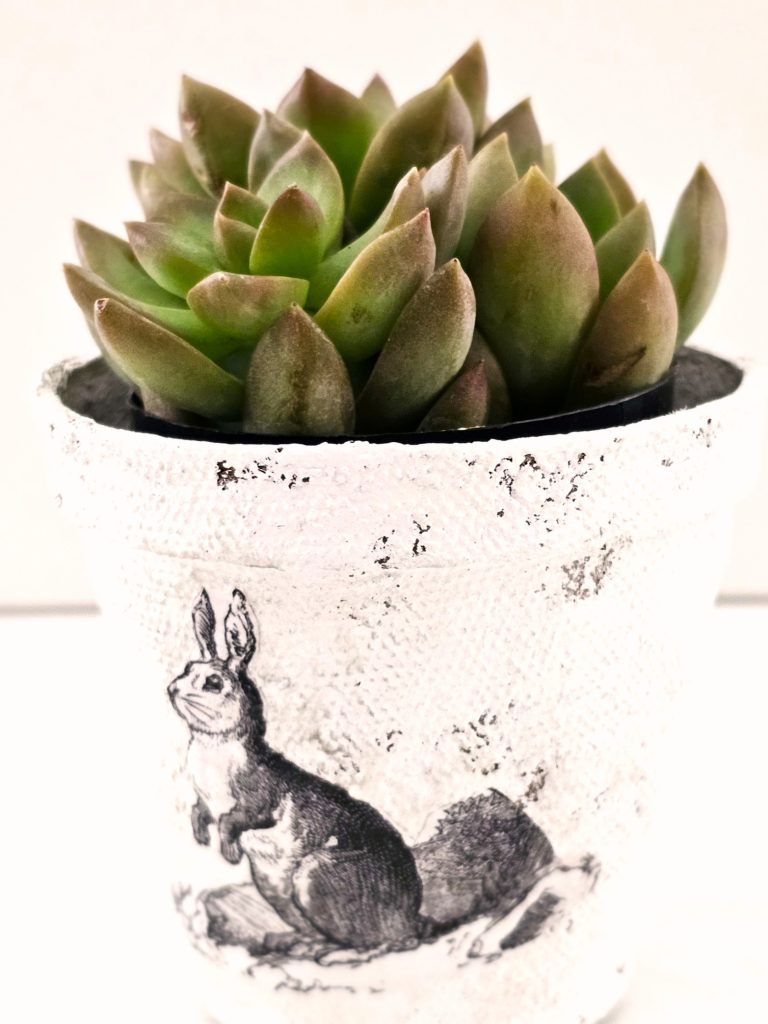 white-painted-pot-filled-with-sm