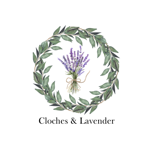                                                                                     Cloches & Lavender