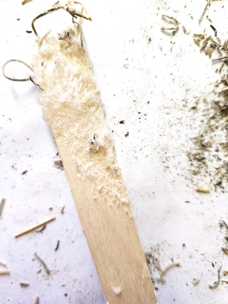popsicle-stick-excess-glue