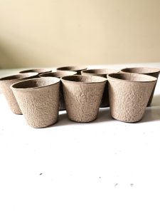 small-pots