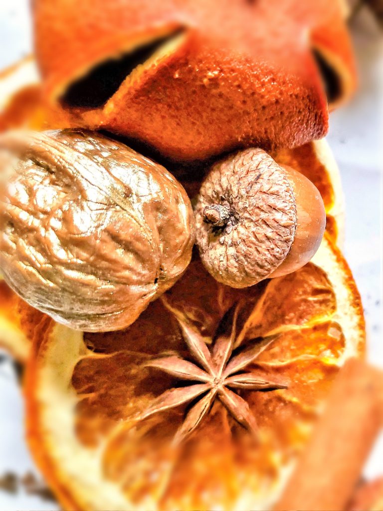 closer-look-walnut-acorn