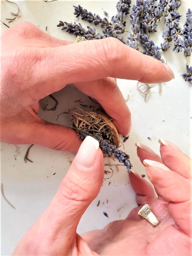 addig-lavender-to-shell