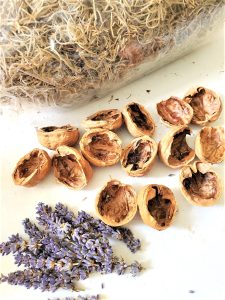 empty-shells-lavender-spanish-moss