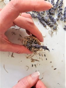 shell-filled-with-moss-and-lavender