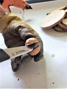 walnut-shell-opened