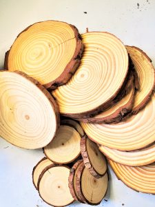wood-rounds