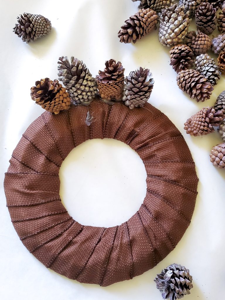 four-pinecones-glued