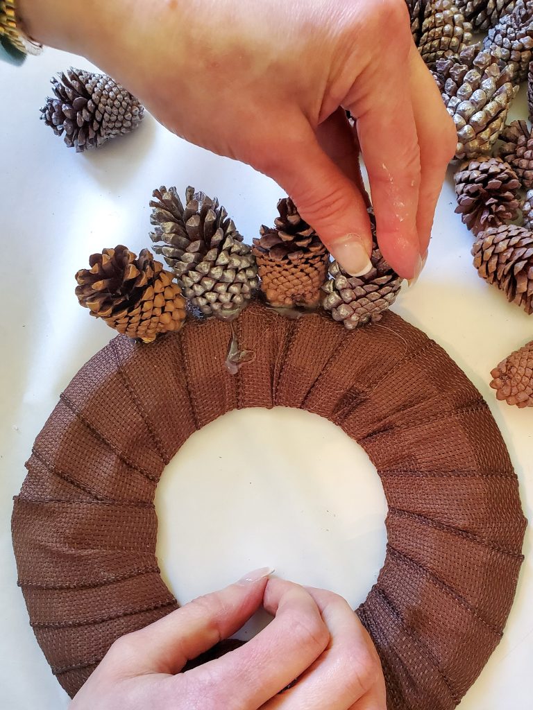 holding-pinecone-to-set