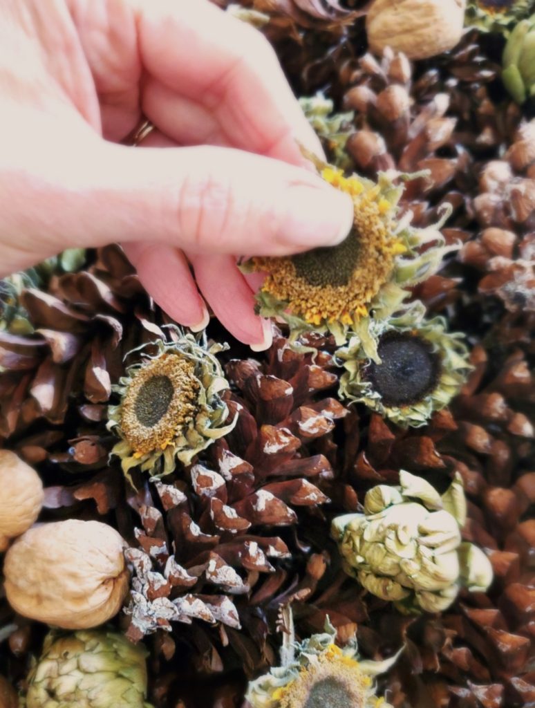 centerpiece-for-fall-with-nuts-dried-sunflower-heads