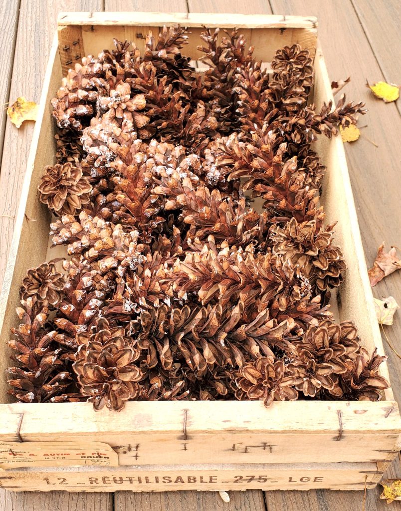 inside-wood-crate