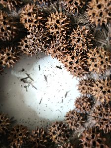 portion-of-the-wreath