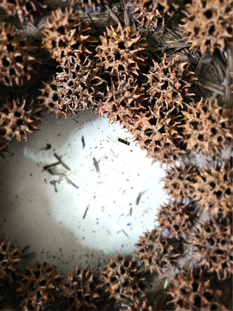portion-of-the-wreath