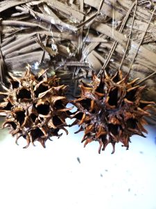 two-pods-glued