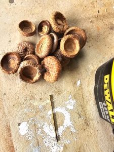 caps-drill-bit